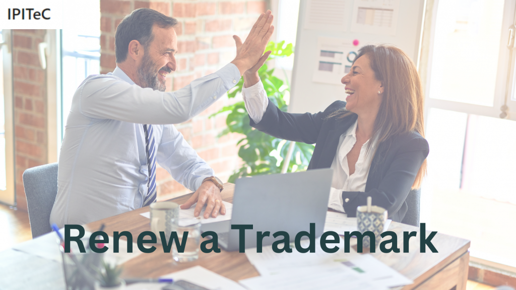 Renew a Trademark